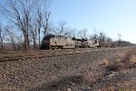 NS 8003 leading train 597 west with empty coal hoppers